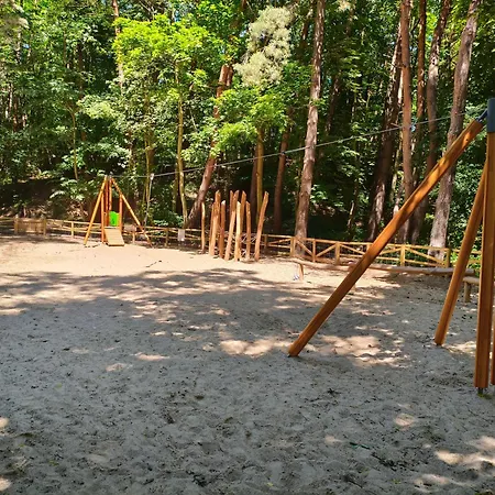 Marea Przylesie Opera Lesna * Сопот