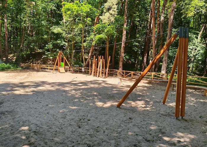 Marea Przylesie Opera Lesna * 索波特